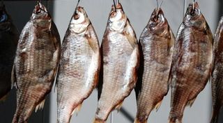 Plătică zvântată