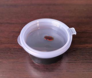 Salsa teriyaki grande