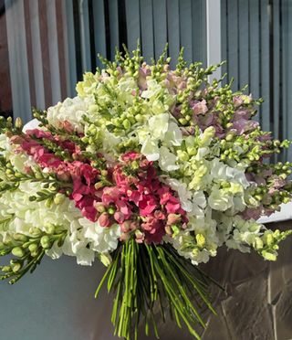 Buchet fresh de primavara cu matthiola si accente roz