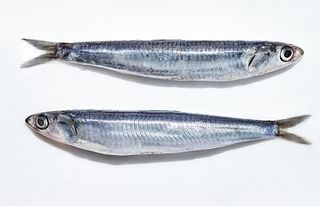 Boquerones De Raspado 250 Gr.