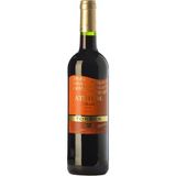 Vi Negre Atrium Torres Merlot