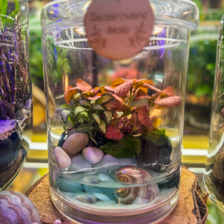 Las w szkle z efektem wody 