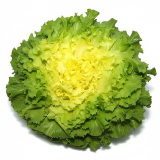 Scarole pulite 4 kg