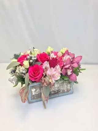 Cutie vintage Aqua