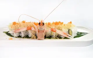 126 - Uramaki scampi