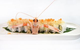 126 - Uramaki scampi