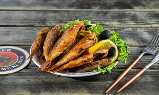 არაგვის თევზი