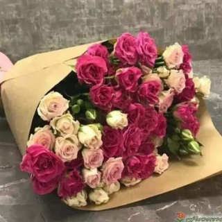 სპრეი ვარდების მიქსი