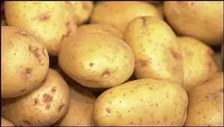 Papas Alava 2500 Gr