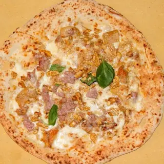 Noci