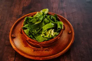 Zelena salata
