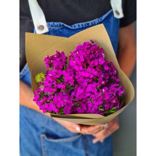 ბარბატუსი (მინი თაიგული)