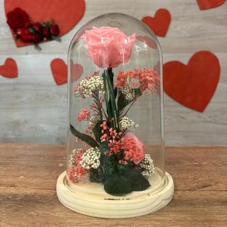 CUPULA DE ROSA ETERNA ROSA