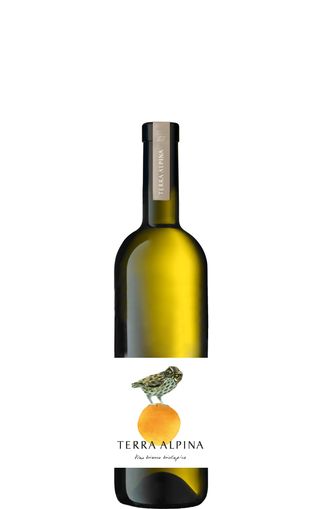 Terra Alpina Bianco BIO 750 ml