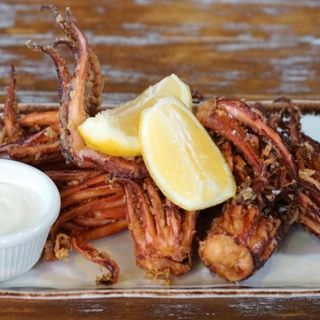 Ración De Patorras De Calamar Rebozadas