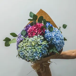 Ramo hortensias surtidas (M)