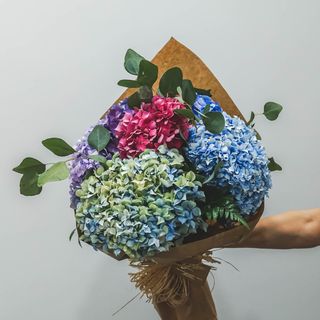 Ramo hortensias surtidas (S)