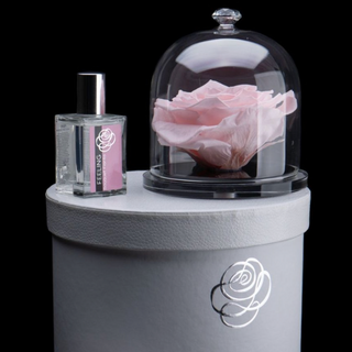 Rosa stabilizzata in campana di vetro