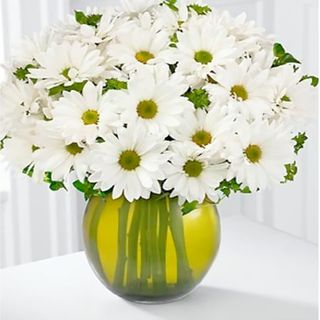 Ramo De Margaritas Blancas