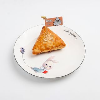 Самса Салта