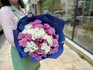 ფერადი ქრიზანთემა