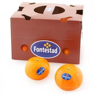 Mandarina Selecta Bandeja 1 Kg