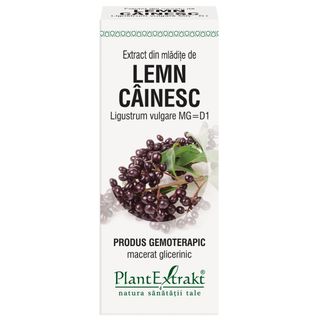 Extract din mladite de lemn cainesc (LIGUSTRUM VULG.)