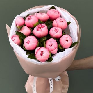 11 Peonias