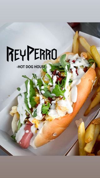 Perrito Creta (Grecia)