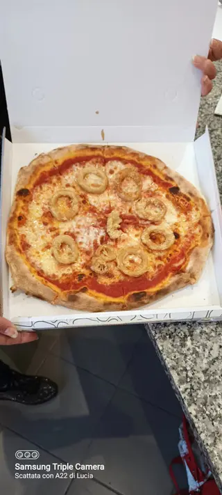Calamari
