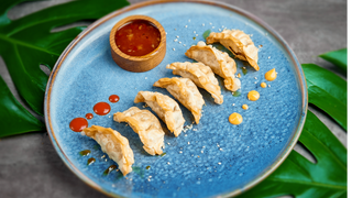 Japońskie pierogi (kurczak & warzywa)