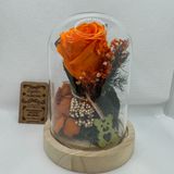 Cúpula con leds y rosa ETERNA NARANJA