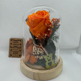 Cúpula con leds y rosa ETERNA NARANJA