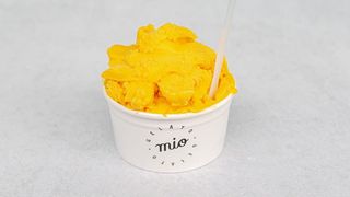 Lody standard mango jogurt