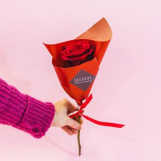 Rosa ao pé