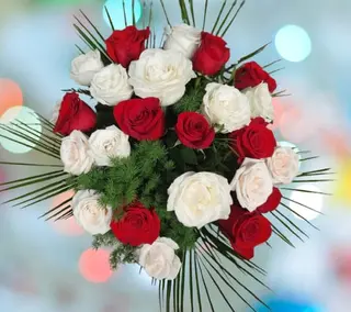 Buchet 21 trandafiri 