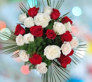 Buchet 21 trandafiri 