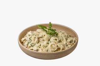  PATE ALFREDO 