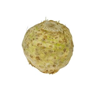 Seler korzeń 1 sztuka