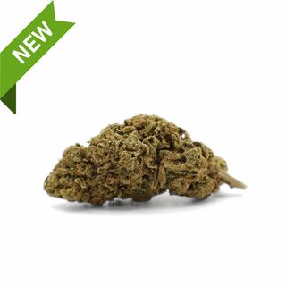 Flor De Cbd Gelato 41 Naturwest Bolsa 3 Gr.