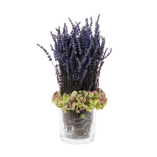 Lavanda Preservada