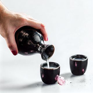 Kikusakari Junmai Shu 30 cl