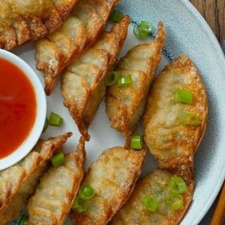Deep fried chicken Dumplings