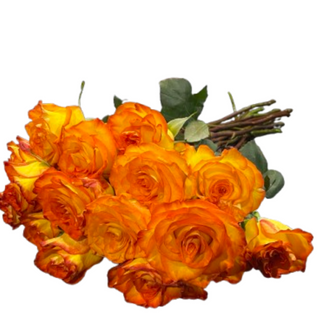 9 herbacianych róż ( długość 50-60 cm ) 