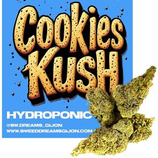 Cookies Kush Hydroponic 1G