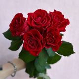 5 червоних троянд