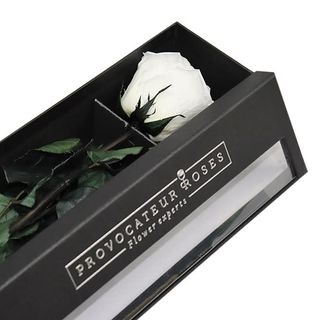 Eternity box blanca