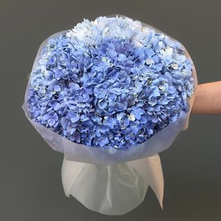 7 Hortensias Azules 