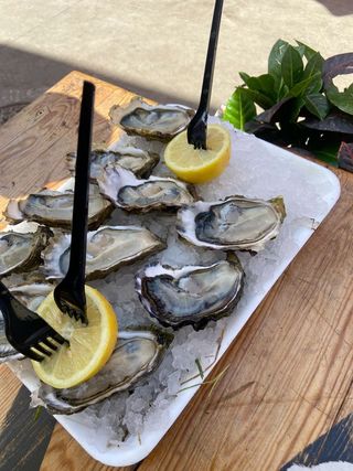 Plat Huîtres grande 12 Pièces