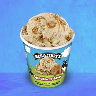 Ben & Jerry's Specu-love 465ml